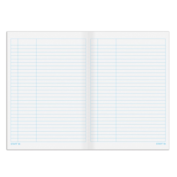 Книга учета 48 л., пустографка, обложка из мелованного картона, блок офсет, (А4 200х290 мм), STAFF,  фото