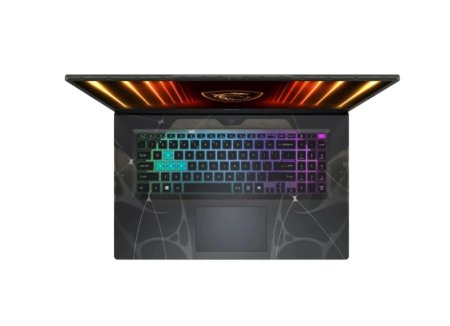 Ноутбук MSI Cyborg 17 B13WEKG-216XRU 17.3"FHD(1920x1080) IPS/Core i5-13420H 8с/16Gb/1Tb SSD/RTX 5050 фото