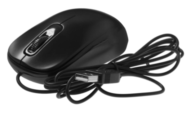 Мышь Genius DX-110 чёрный USB фото