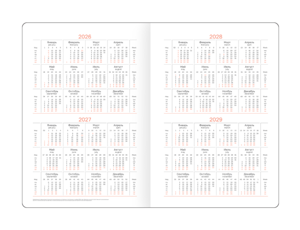 Ежедневник датированный 2026г., А5, 176л., твердый переплет, кожзам, BG "Fillsta. Gray", серый DdА5 купить ЦИТ Ежедневник датированный 2026г., А5, 176л., твердый переплет, кожзам, BG "Fillsta. Gray", серый DdА5 фото