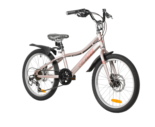 (м) Велосипед детский NOVATRACK 20"20SH6D.ALICE.GD6 пыльная роза,  стальная рама, 6 скор., Shimano T фото