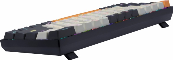 Клавиатура механическая Redragon Caraxes Pro RGB фото