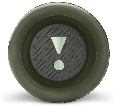 Колонка Bluetooth JBL Flip 6 камуфляж фото