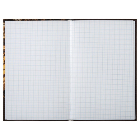 Блокнот А5 (135х206 мм), 96 л., твердый переплет, ламинированная обложка, клетка, BRAUBERG, "Время", фото