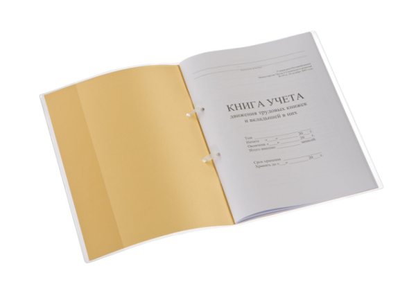 Книга учета движения трудовых книжек и вкладышей к ним, 32 л., сшивка, плобма, обложка ПВХ, 130203 фото