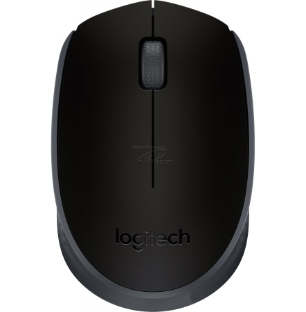 Мышь Logitech M171 Black wireless USB (910-004424) фото