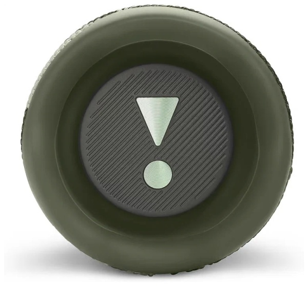 Колонка Bluetooth JBL Flip 6 камуфляж фото