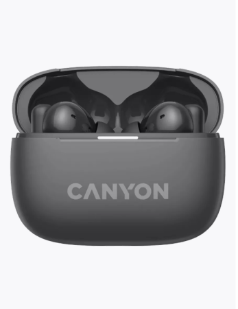 Беспроводные bluetooth наушники Canyon OnGo TWS-10 ANC Черный (CNSTWS10BK) фото