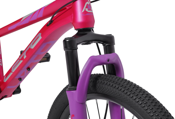 (м) Велосипед детский LETO 20"DRAGON, сталь, рама 10,5", 6-ск, розовый фото