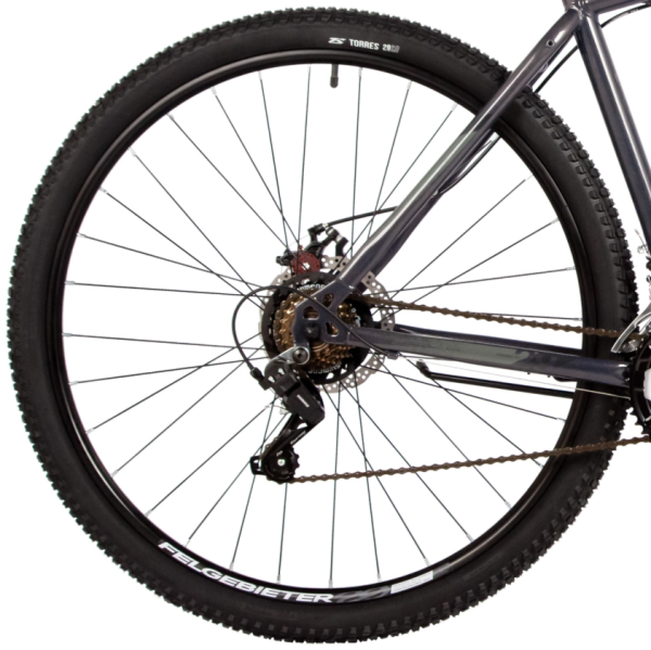 (м) Велосипед горный FOXX 29" CAIMAN купить ЦИТ (м) Велосипед горный FOXX 29" CAIMAN фото