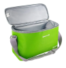 Термосумка БИОСТАЛЬ TCD-10G, зеленый фото