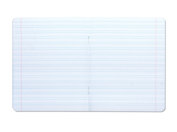 Тетрадь 12 л. BRAUBERG ЭКО "5-КА", узкая линия, обложка плотная мелованная бумага, ЗЕЛЕНАЯ, 104765  фото