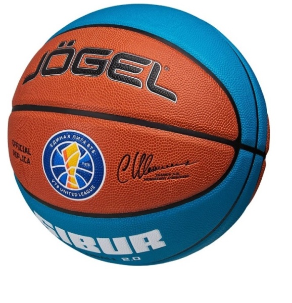 Мяч баскетбольный Jogel Pro Training ECOBALL 2.0 Replica №7  фото