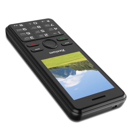 Мобильный телефон XENIUM X280 Black фото