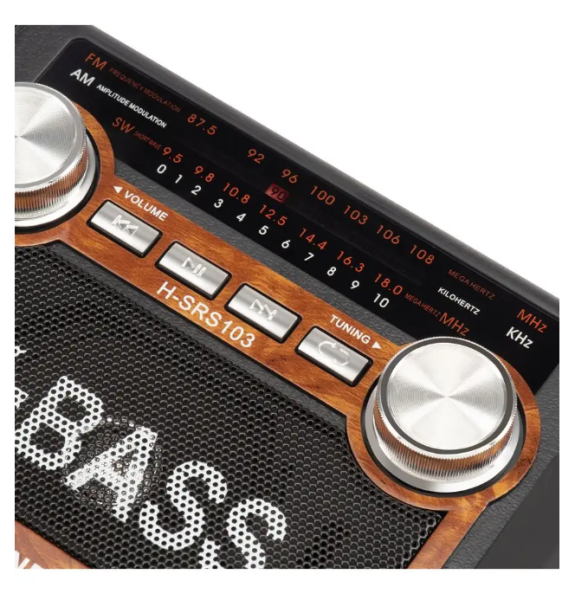 Радиоприемник Hyundai H-SRS103 черный фото