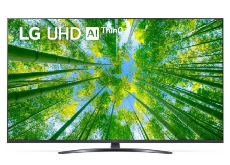 Телевизор LED LG 65" 65UQ81006LB Ultra HD/60Hz/DVB-T2/DVB-C/DVB-S2/USB/WiFi/Smart TV фото