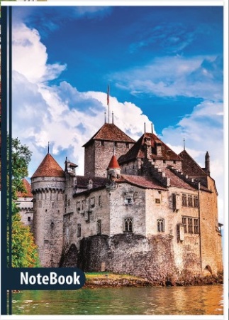 Тетрадь А4, 96л. BRAUBERG ЭКО клетка, обложка картон, ЗАМКИ, 403070 фото
