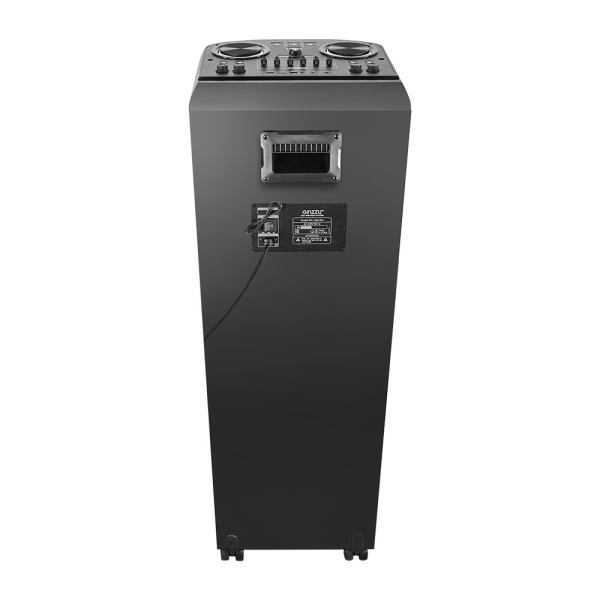 Минисистема GINZZU GM-204 фото