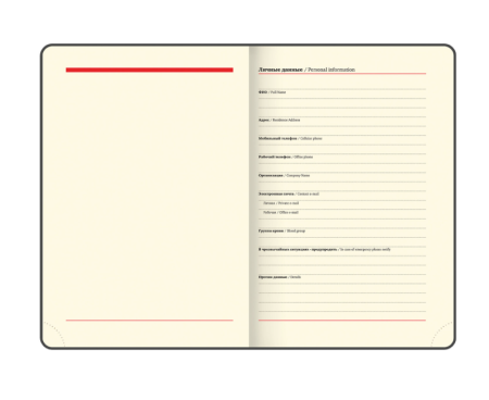 Ежедневник недатированный А5 138х213мм BRAUBERG Status под кожу, 160л, коричневый, 113363 фото