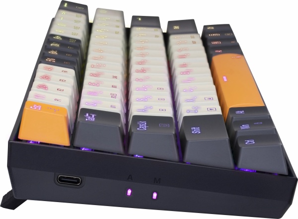 Клавиатура механическая Redragon Caraxes Pro RGB фото