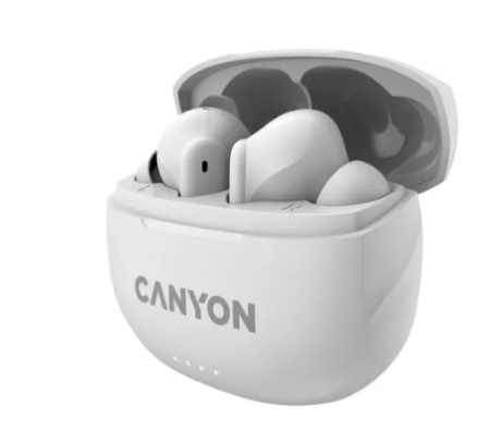 Беспроводные bluetooth наушники Canyon TWS-8 (CNSTWS8W) Белый фото