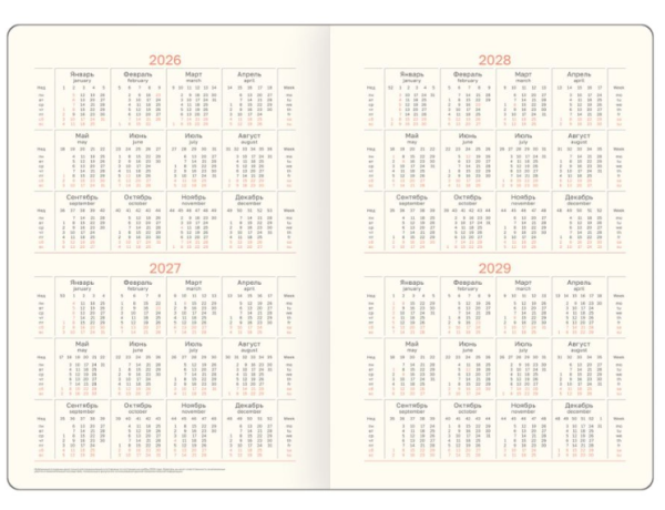 Ежедневник датированный 2026г., А5, 176л., мягкий переплет, кожзам, BG "Personality. Sienna", ярко-к фото