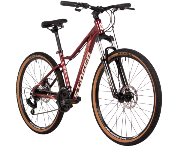 (м) Велосипед горный STINGER 26" LAGUNA (2025) фото