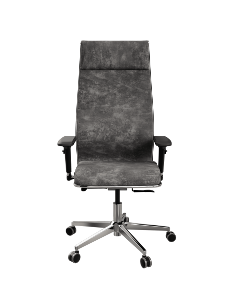 Кресло руководителя (офисное) ErgoLife SynchroSit 10 1F9.3.1.544 (SynchroSit 10 L1-142D - Bravo /Km1 фото