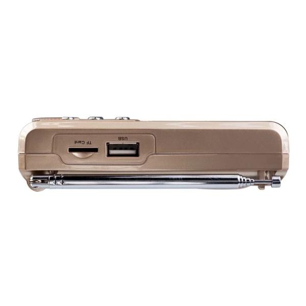 Радиоприемник PERFEO Sound Ranger PF-SV922 золотой фото