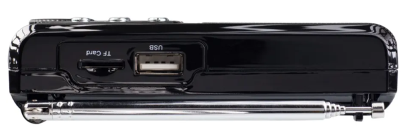 Радиоприемник PERFEO Sound Ranger PF-SV922 черный фото