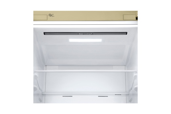 Холодильник LG GA-B509CECL фото