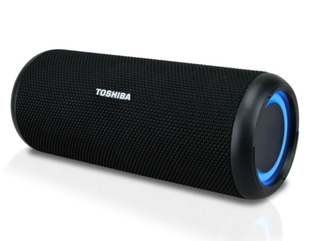 Колонка Bluetooth TOSHIBA TY-WSP201 фото