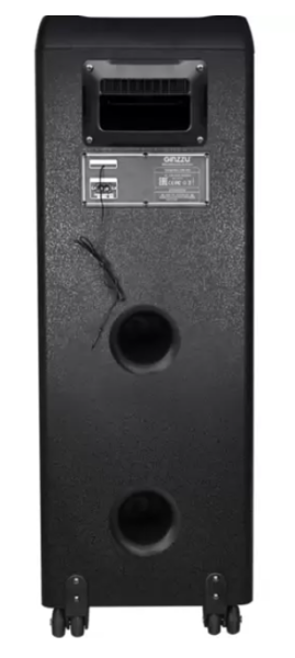 Минисистема GINZZU GM-205 фото