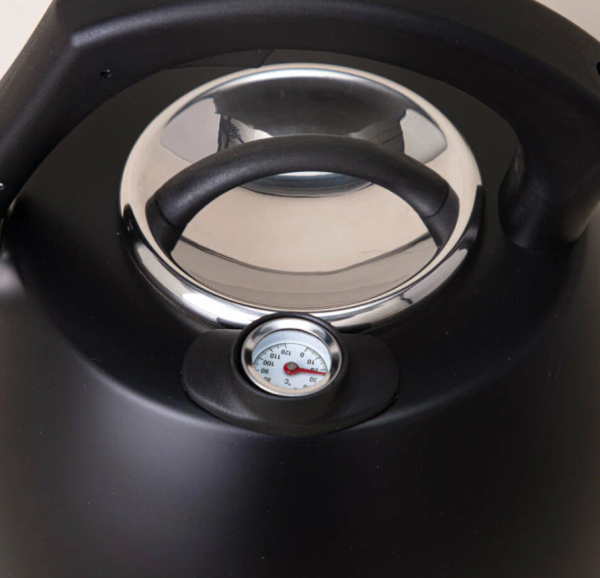 Чайник со свистком AGNESS 908-065 ТЮДОР с термометром 3,0л, черный фото