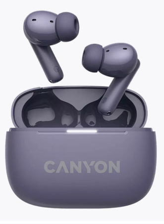 Беспроводные bluetooth наушники Canyon OnGo TWS-10 ANC Фиолетовый (CNSTWS10PL) фото