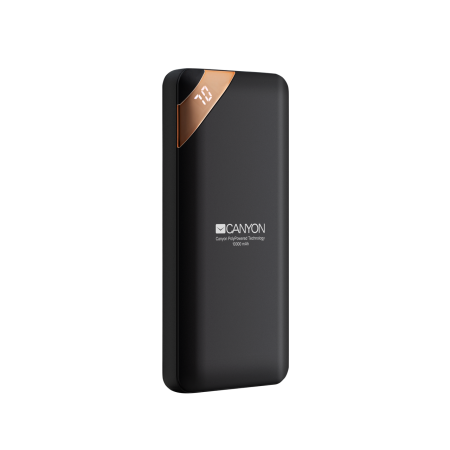Внешний аккумулятор CANYON PB-102 10000Mah Черный (LY2CNECPBP10B) фото