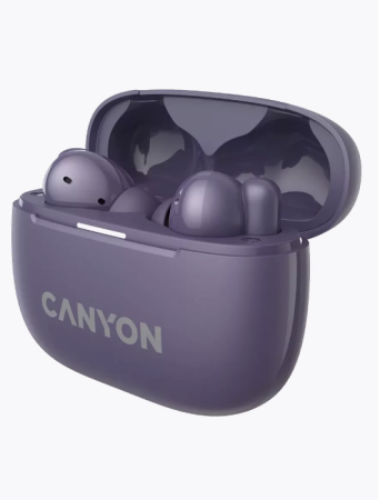 Беспроводные bluetooth наушники Canyon OnGo TWS-10 ANC Фиолетовый (CNSTWS10PL) фото