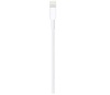 Кабель USB - Lightning Apple 0.5м белый фото