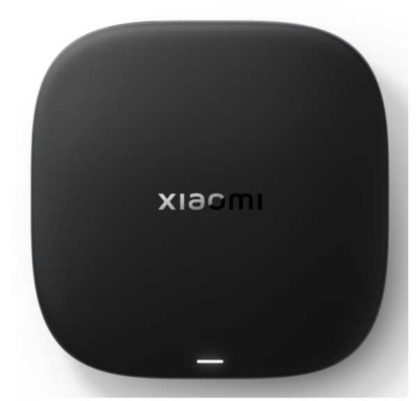 Медиаплеер Xiaomi V Box S 3rd Gen (PFJ4189RU) фото