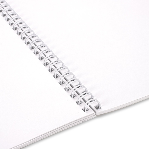 Альбом для акварели А4 40 л., бумага 200 г/м2, гребень, твердая подложка, BRAUBERG, "Пудель", 116885 фото