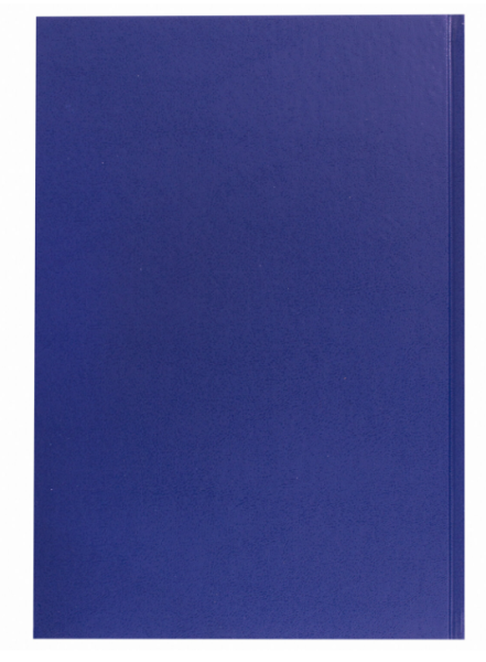 Журнал регистрации вводного инструктажа, 96 л., А4 200х290 мм, бумвинил, офсет BRAUBERG, 130258 фото