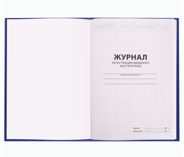 Журнал регистрации вводного инструктажа, 96 л., А4 200х290 мм, бумвинил, офсет BRAUBERG, 130258 фото