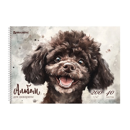Альбом для акварели А4 40 л., бумага 200 г/м2, гребень, твердая подложка, BRAUBERG, "Пудель", 116885 фото
