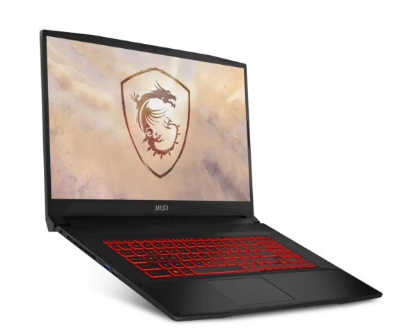 Ноутбук MSI Katana 17 B13UCR-1612XRU 17.3"FHD(1920x1080) IPS/Core i5-13420H 8с/16Gb/512Gb SSD/RTX 30 фото