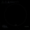 Настольная плита OASIS PI-DB3K индукционная фото
