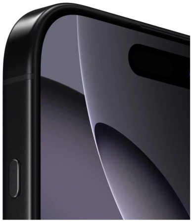 Apple iPhone 16 Pro 256Gb Black Titanium 2Sim (Черный) (без RuStore) фото
