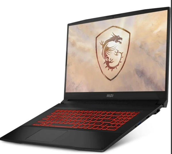 Ноутбук MSI Katana 17 B13UCR-1609XRU 17.3"FHD(1920x1080) IPS/Core i5-13420H 8с/16Gb/1Tb SSD/RTX 3050 фото