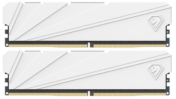 Оперативная память DDR4 16Gb(PC4-25600) 3200MHz Netac Shadow NTSSD4P32SP-16W фото