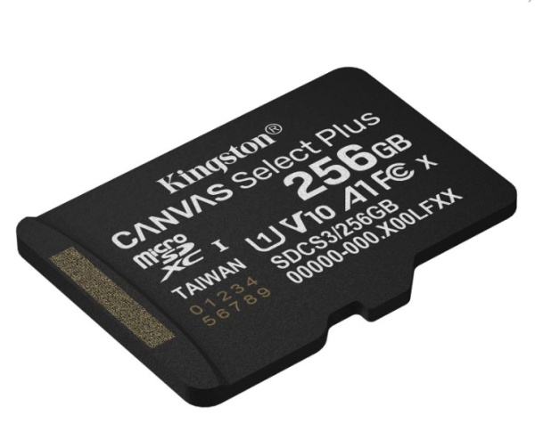 Карта памяти MicroSD 256Gb Kingston Class 10 Canvas Select Plus A1 U1 V10  (SDCS3/256GB) фото