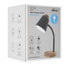 Лампа настольная RITMIX LED-755E Black фото